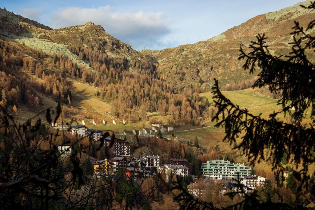 Hotel Adler