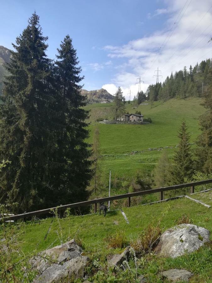 Adler 3*